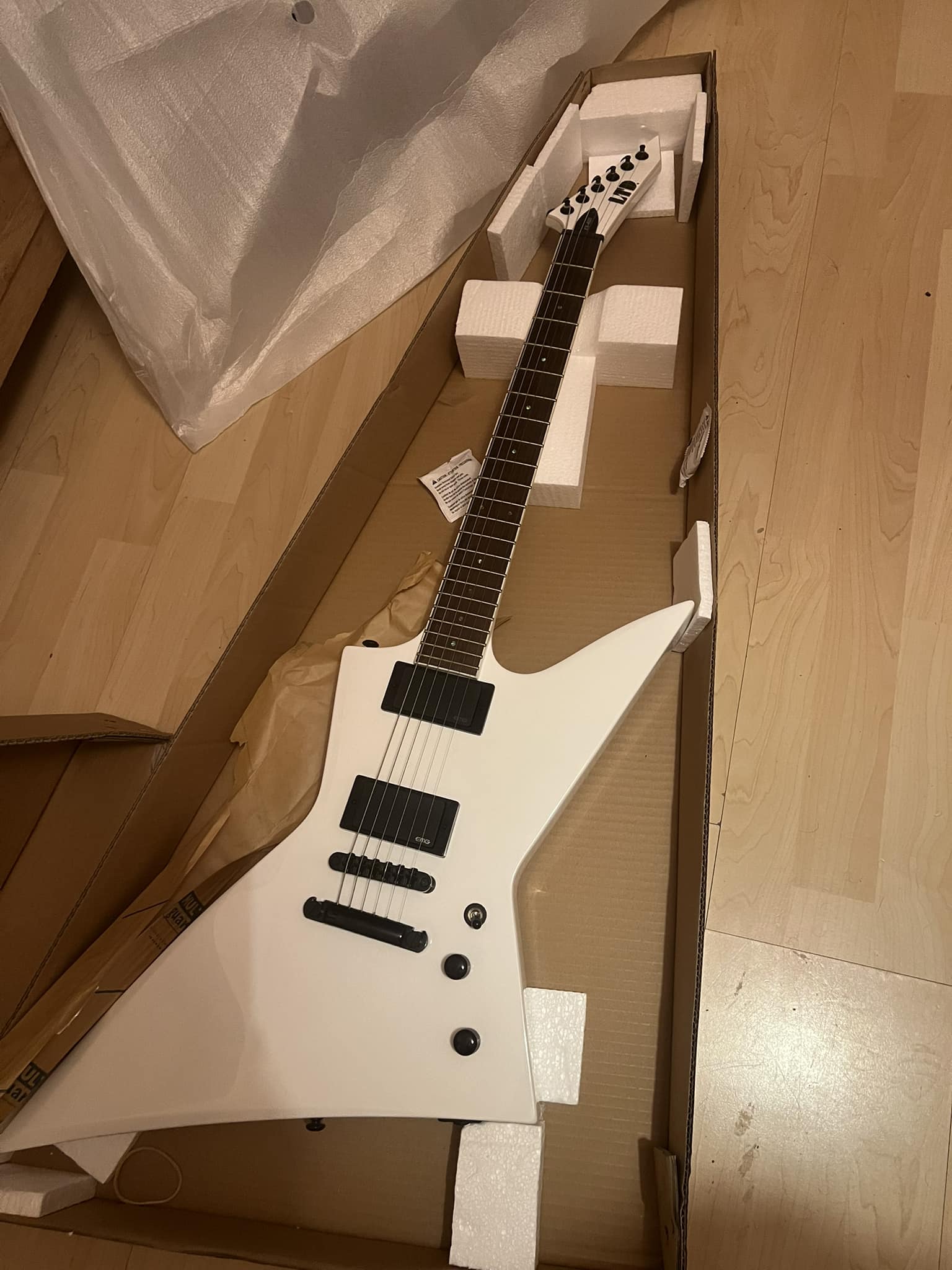 ESP LTD EX-400BD review with EMG pickups