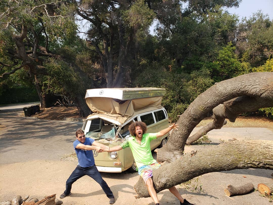 So... the tree that fell on... - Solarrolla Electric Vehicles