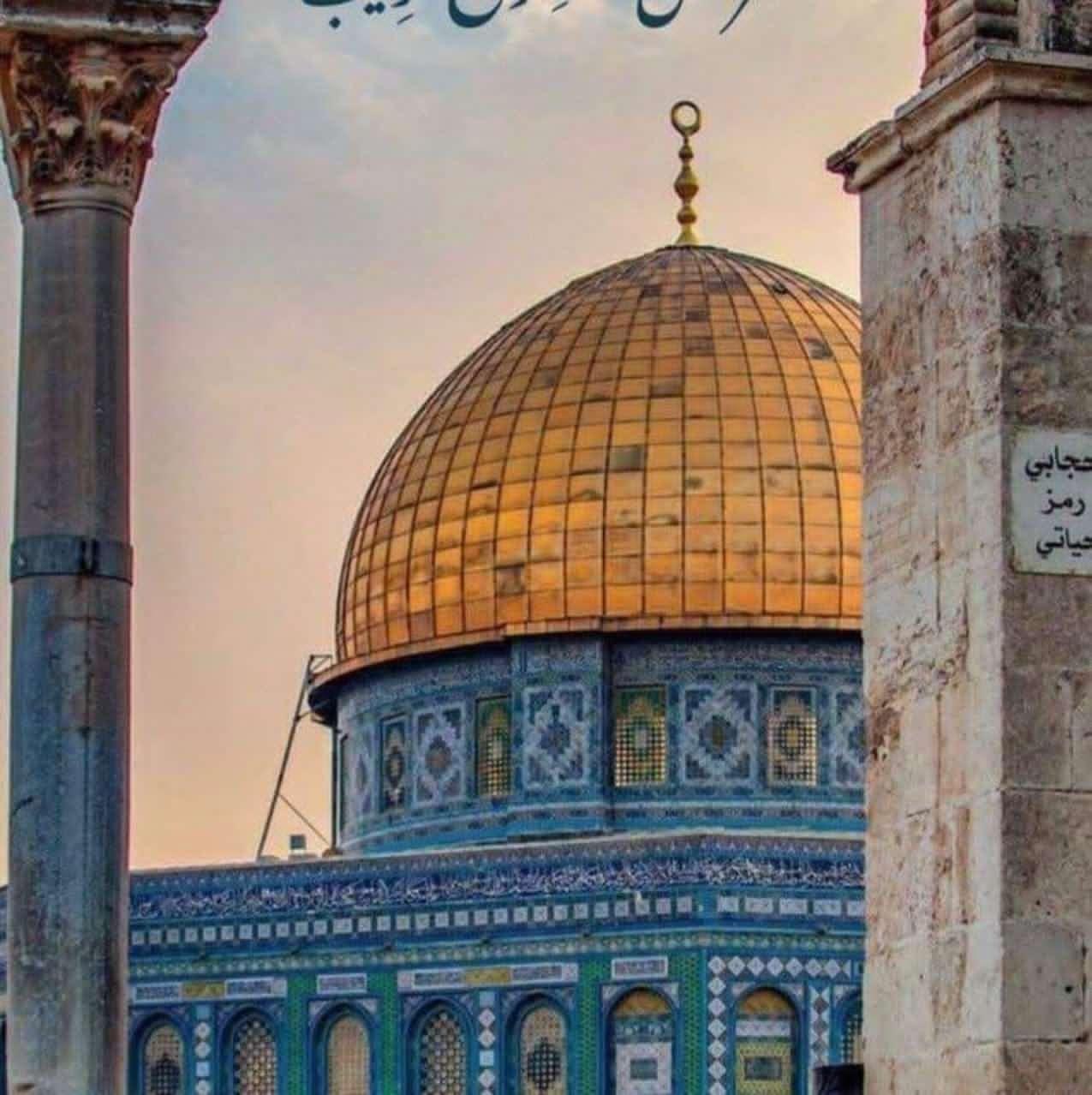 كَانُوا قَلِيلًا مِّنَ اللَّيْلِ مَا يَهْجَعُونَ﴾ [ سورة الذاريات: 17 ...