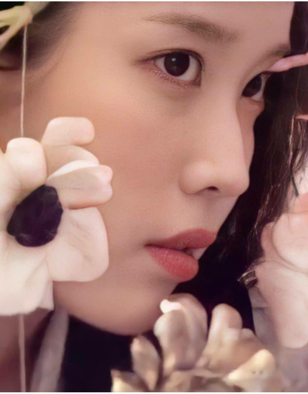 IU México - 아이유(IU) Teaser Imagen 