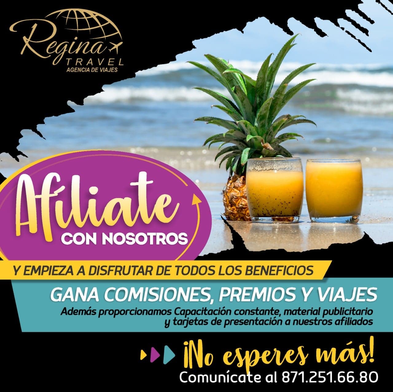 Afiliaciones Regina Travel | Torreón