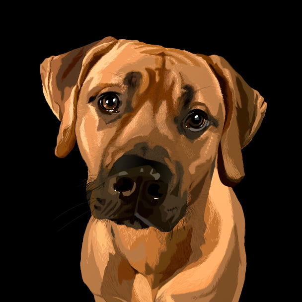 Meet our other #canine team mate - the... - The Candy Studio | Facebook