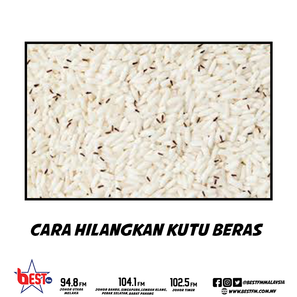 Best My Korang Ada Tips Cara Hilangkan Kutu Beras Facebook