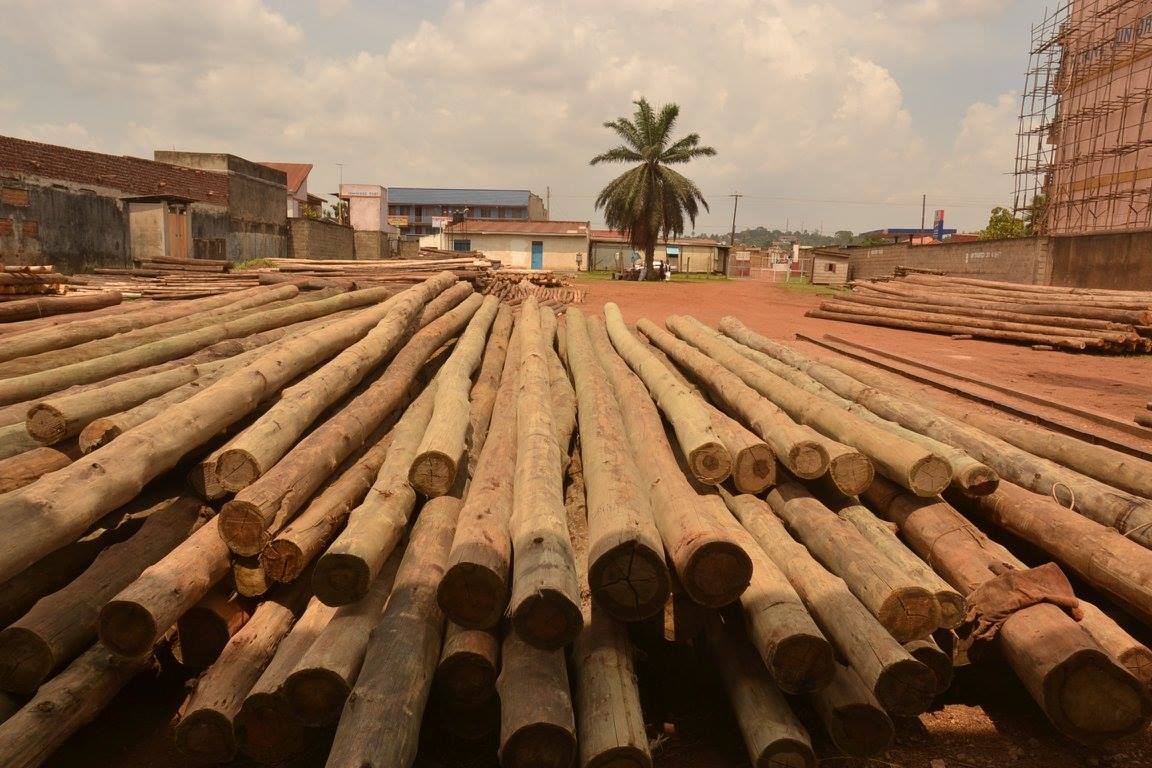 Woodco Uganda Limited
