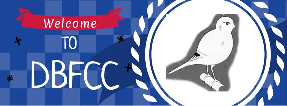 Doncaster Border Fancy Canary Club | Facebook
