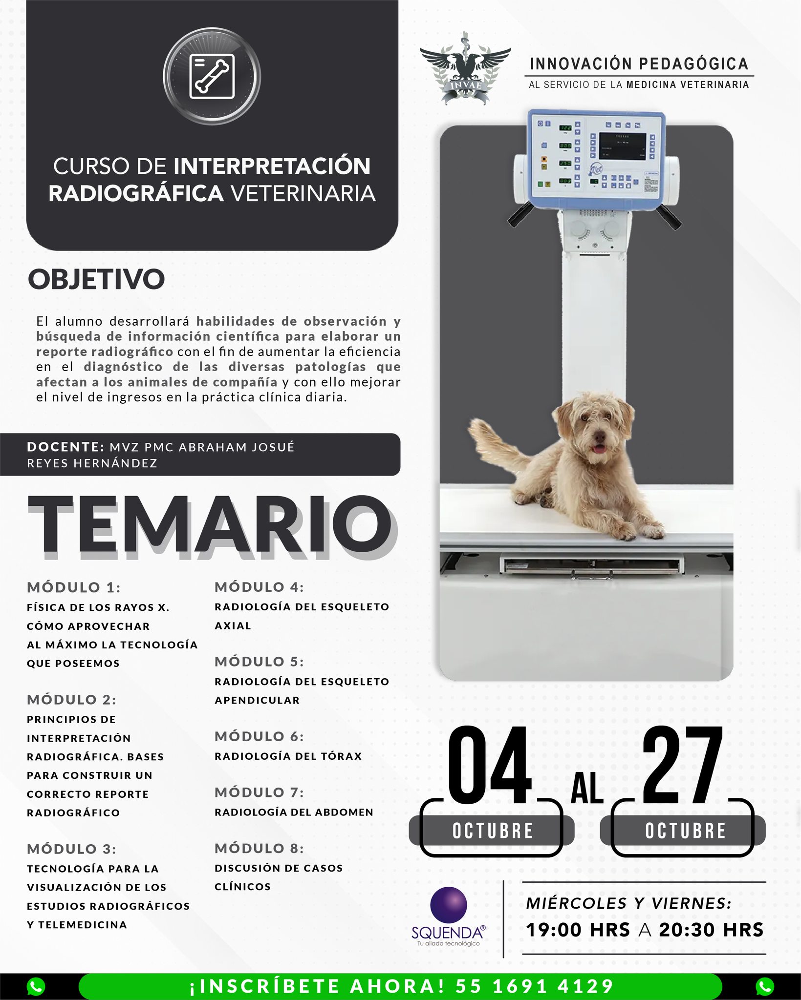 INVAE - Aprende a elaborar reportes radiográficos para potenciar el ...