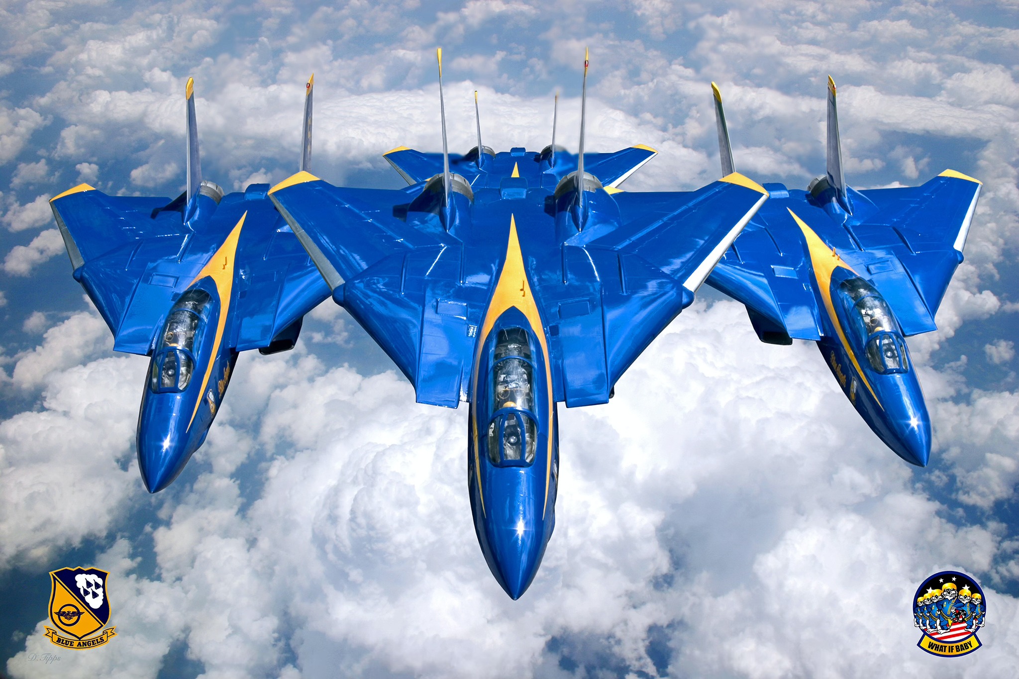 US Navy Blue Angels and the F-14 Tomcat