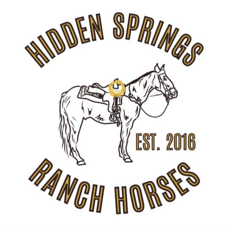 Hidden Springs Ranch Horses... - Hidden Springs Ranch Horses