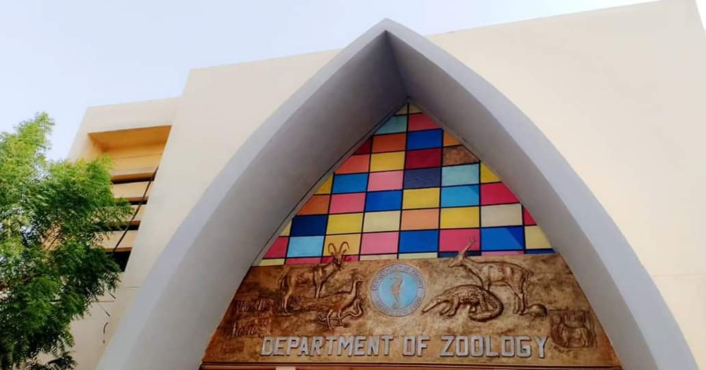 Many many... - Zoology dept university of Sindh