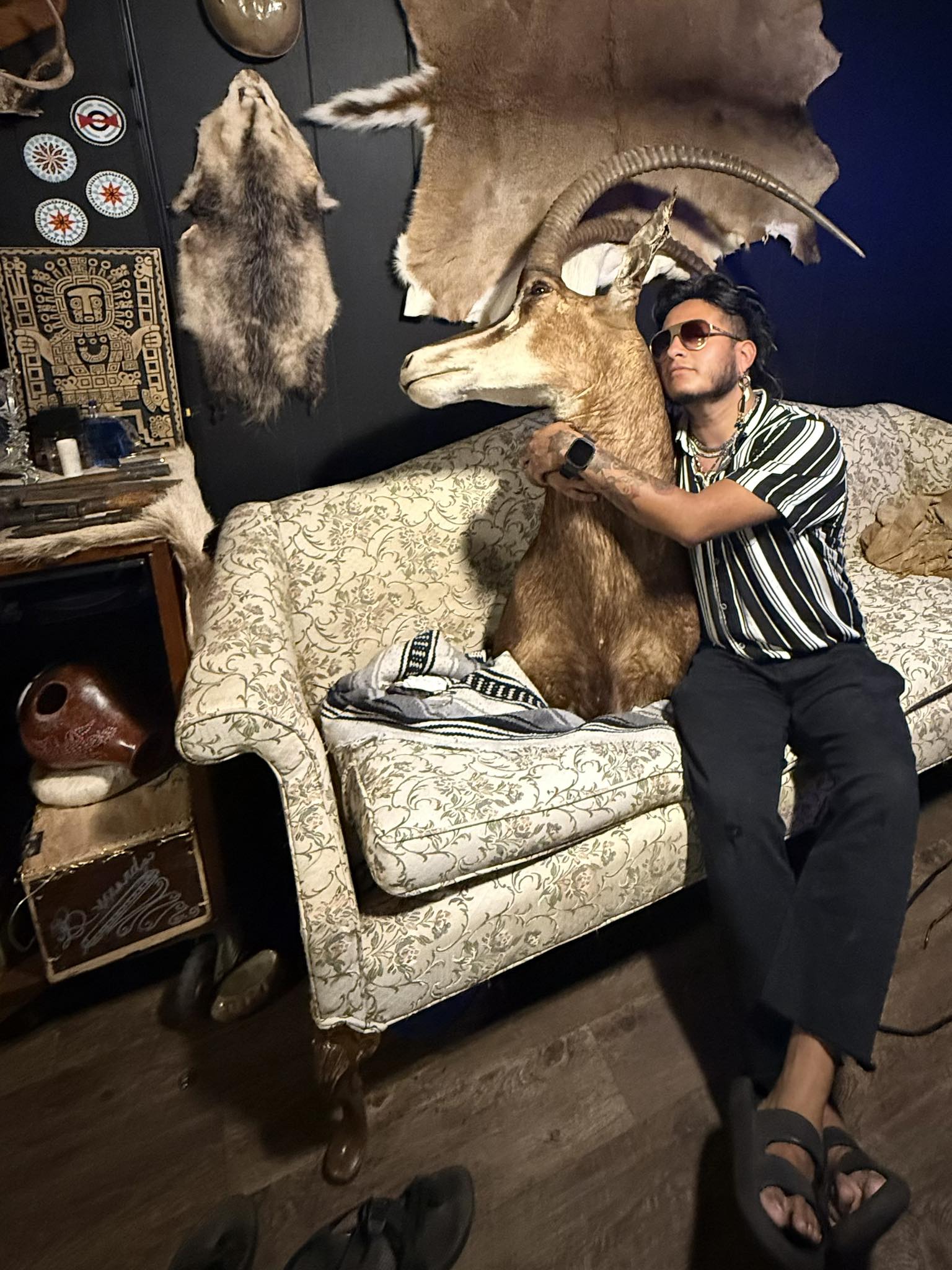 Bernardo - The studio welcome’s its new Treasure: ‘Steve the Sable’ 🦌 ...