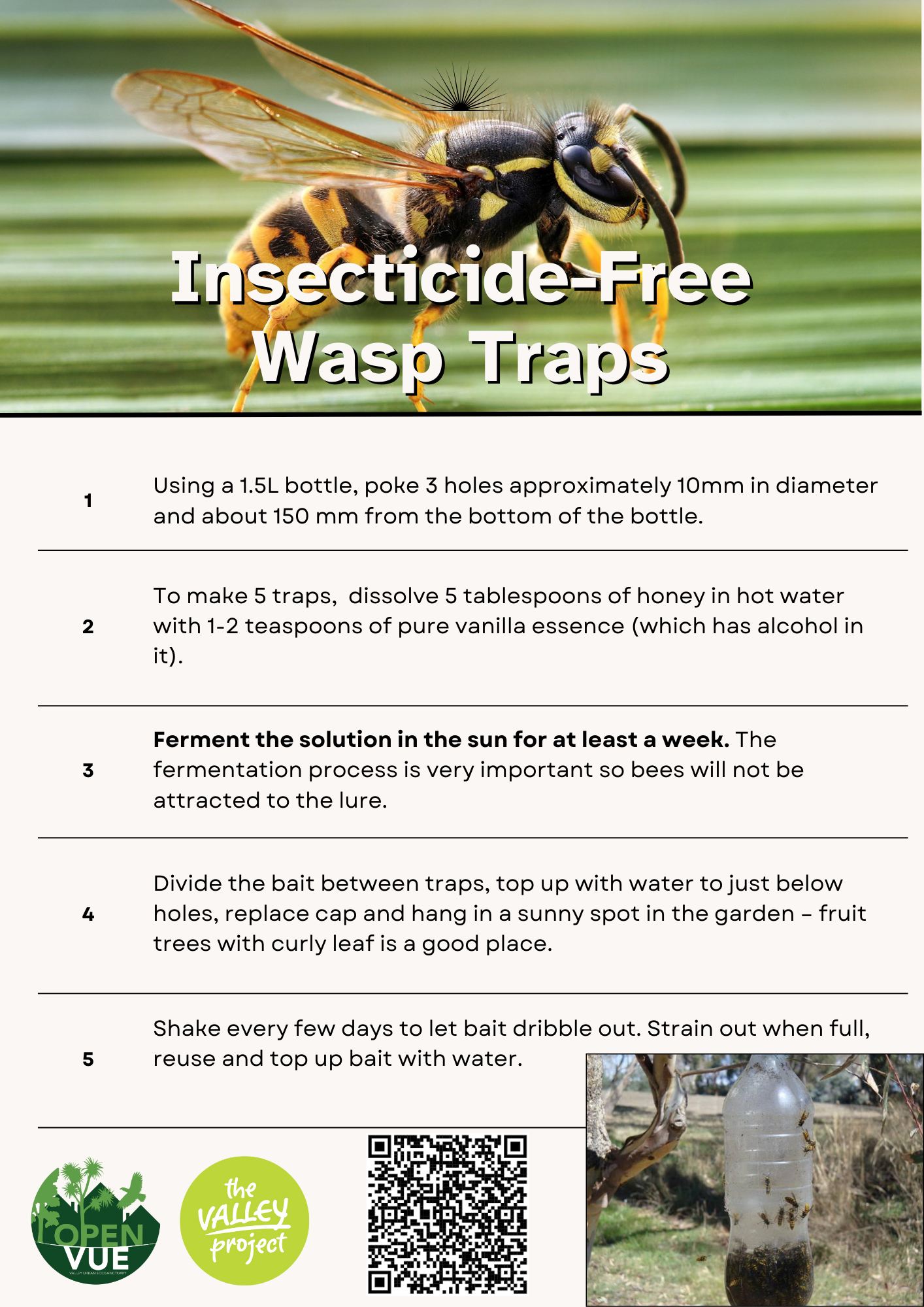 City - We wish wasps would withdraw! 🐝 New Zealand has some of the ...