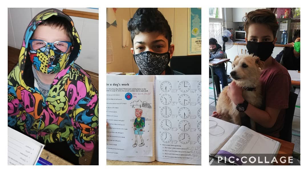 Go-Education | Plumstead