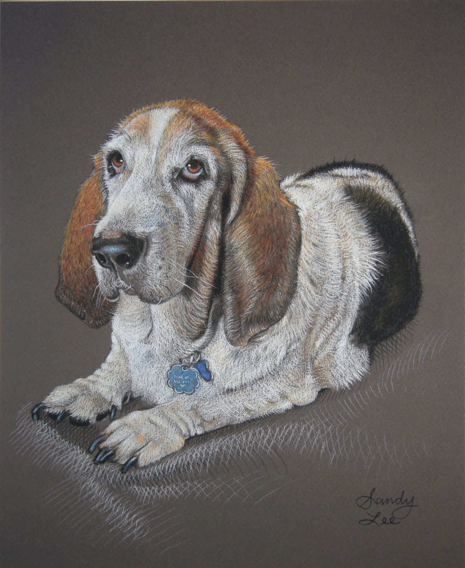 Sandy Lee Pet Portraits | Wilmington NC