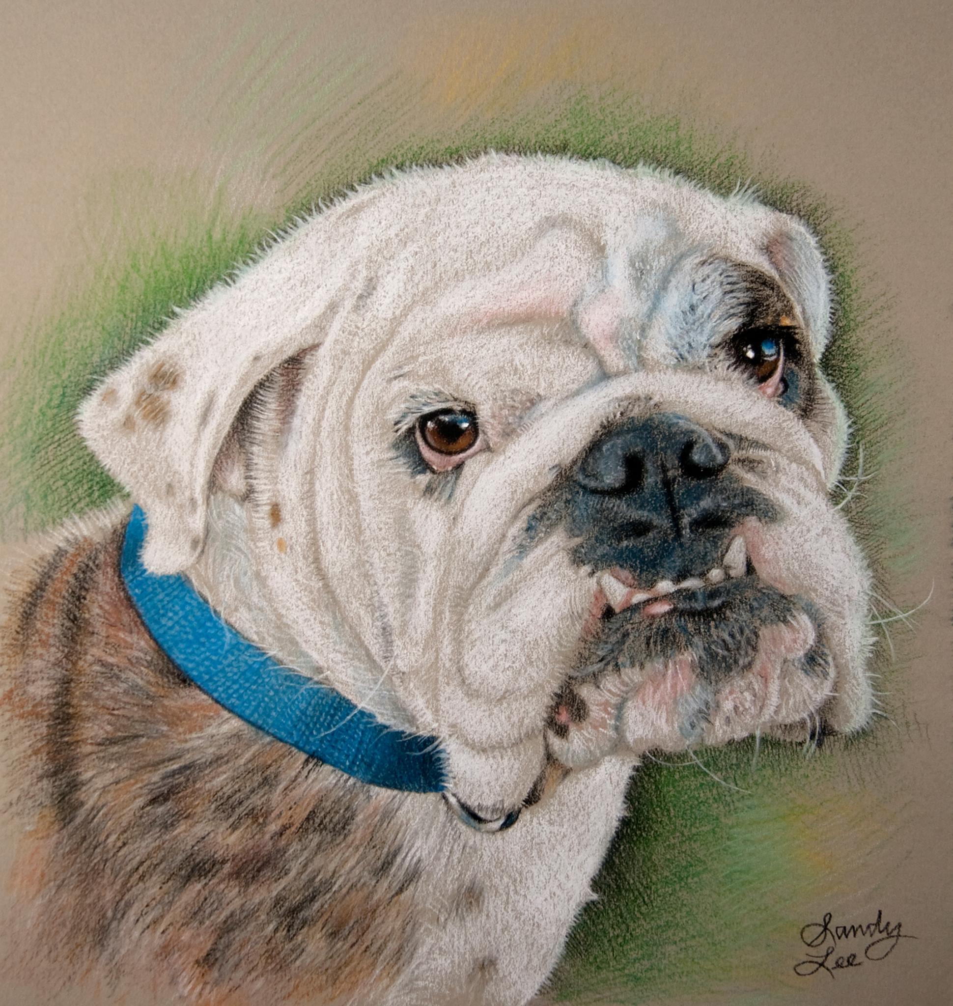 Sandy Lee Pet Portraits | Wilmington NC