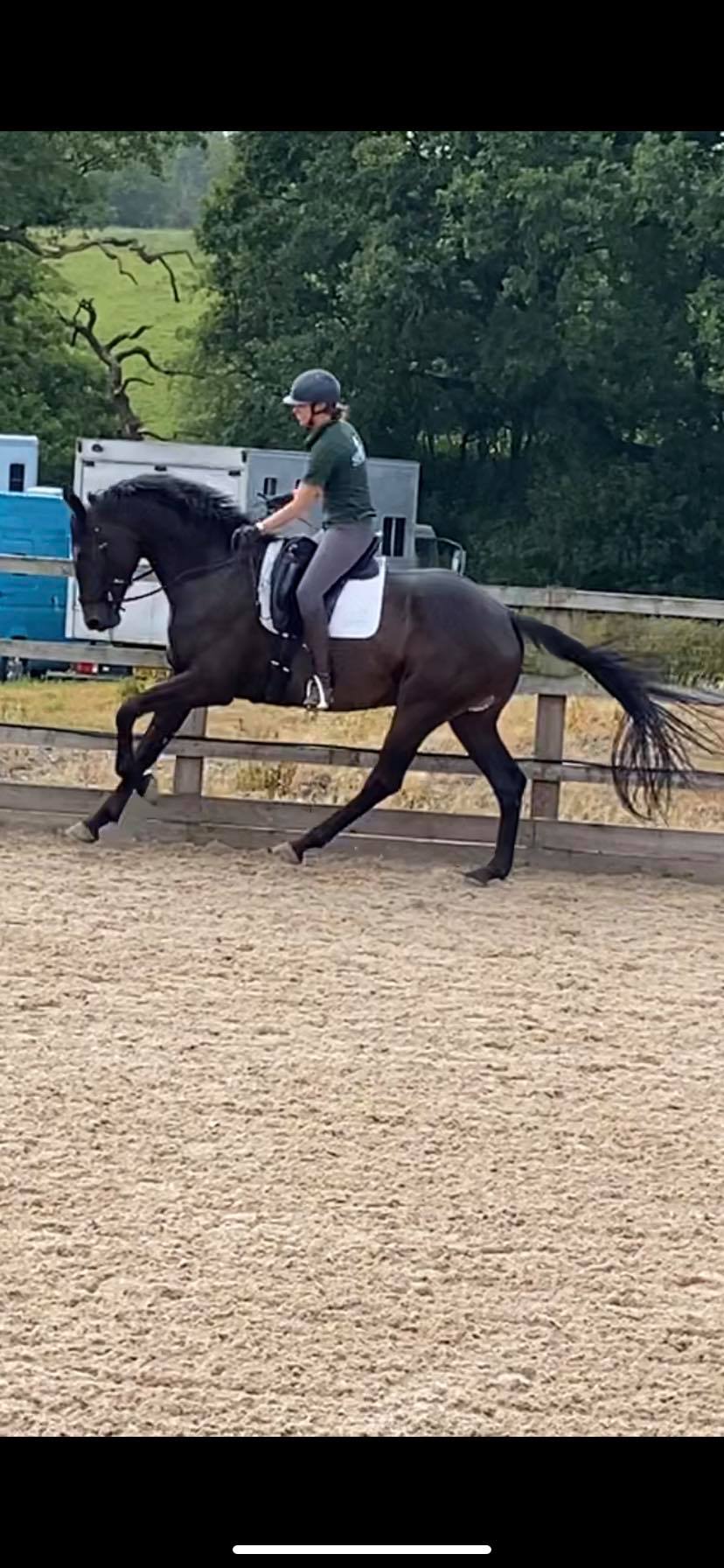 One stable coming available for FULL... - Logwood Dressage