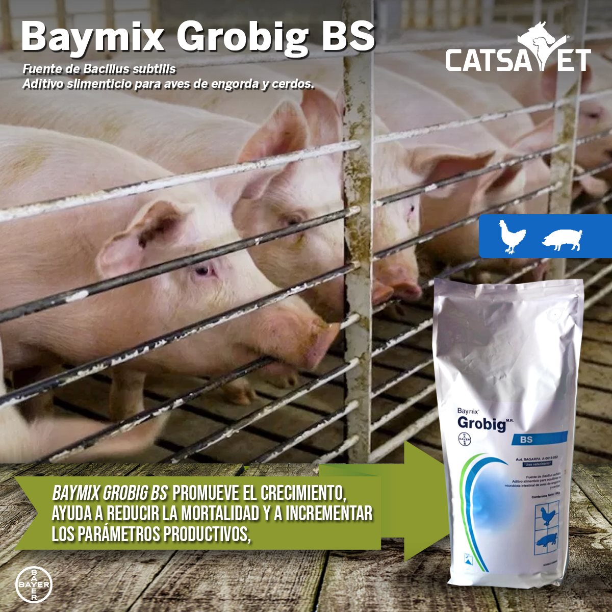 BAYMIX GROBIG BS se desempeña por... - CatsaVet Agropecuaria | Facebook