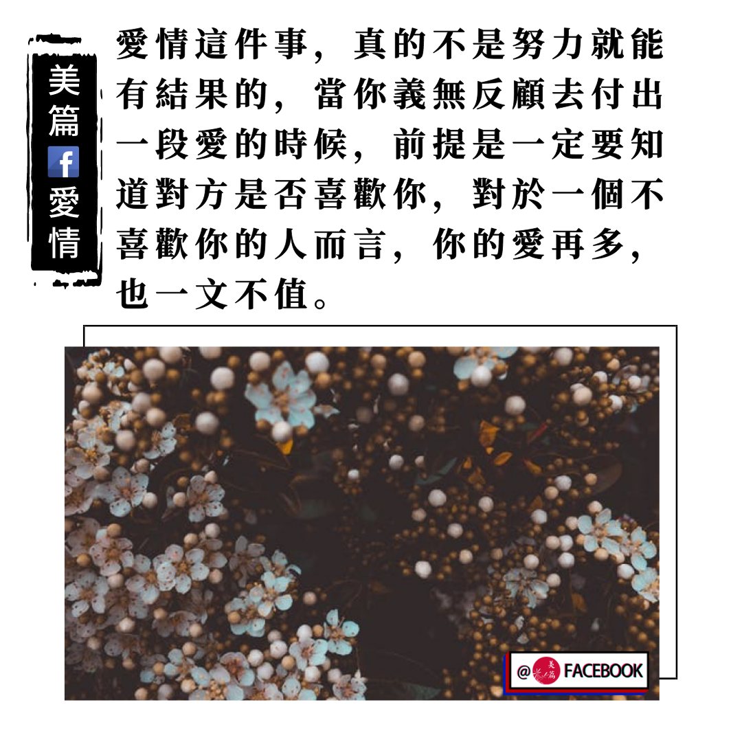 美篇 - #晚安 🌙 愛情這件事，真的不是努力就能有結果的，當你義無反顧去付出一段愛的時候，前提是一定要知道對方是否喜歡你，對於一個不喜歡你的 ...