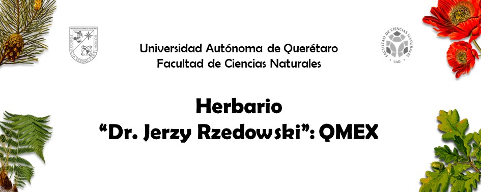Herbario QMEX | Querétaro
