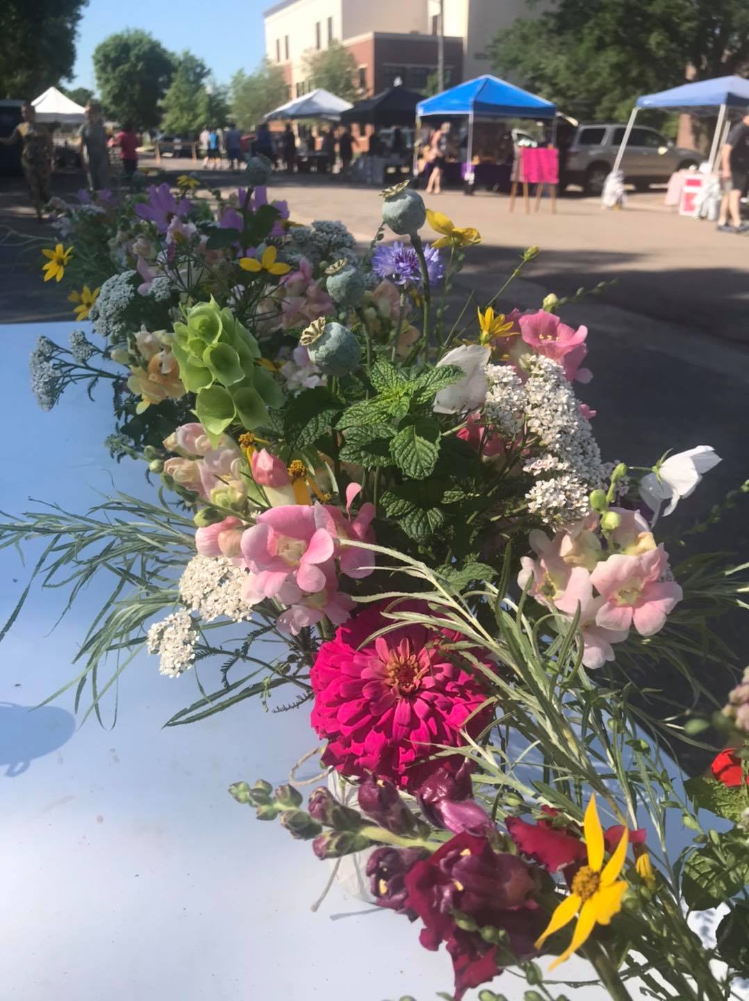 Hoppe Boys Farm Market at Two Rivers Ranch | Brookings SD