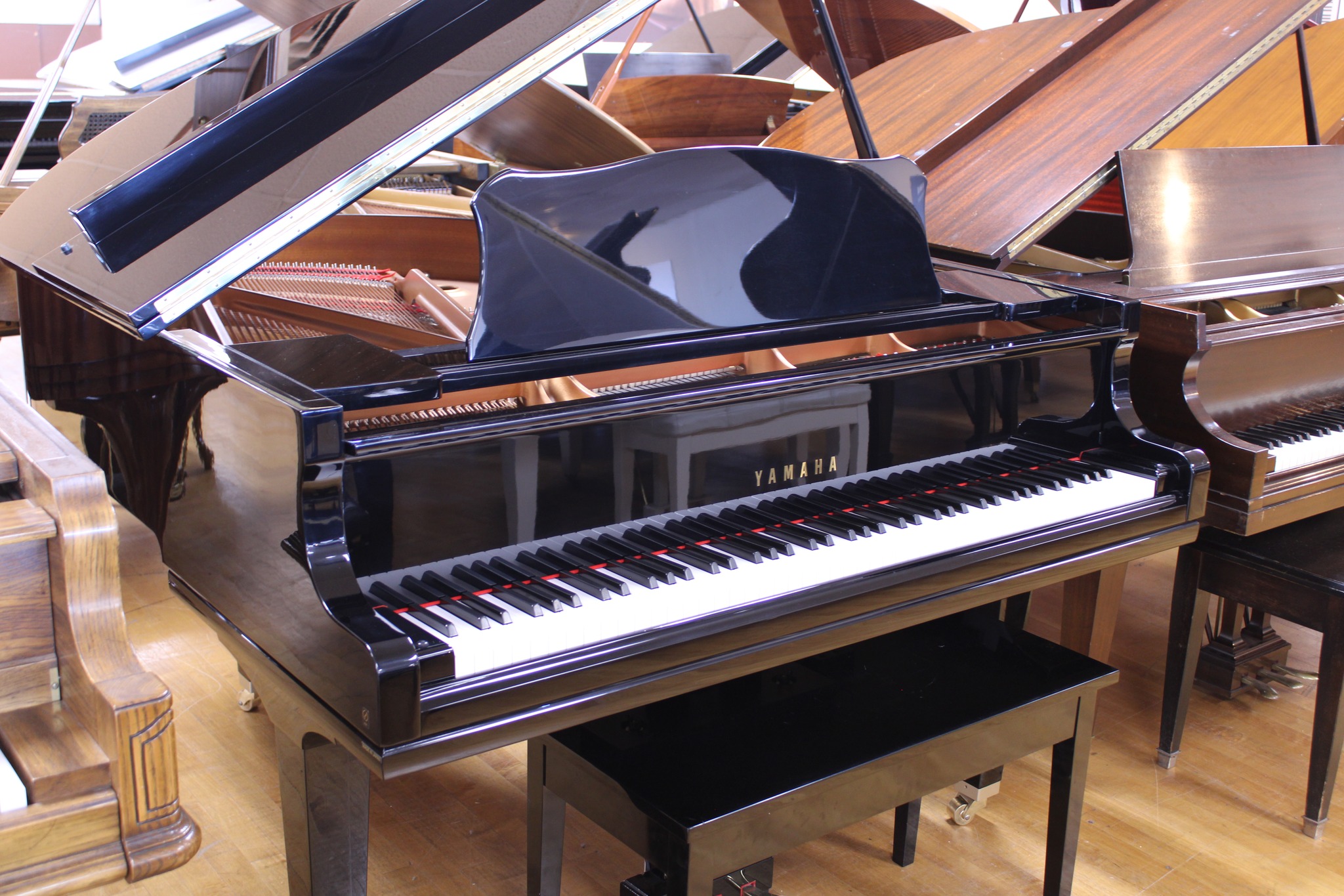 Kawai Piano Gallery of Kansas City by Alamo Music | Mission KS