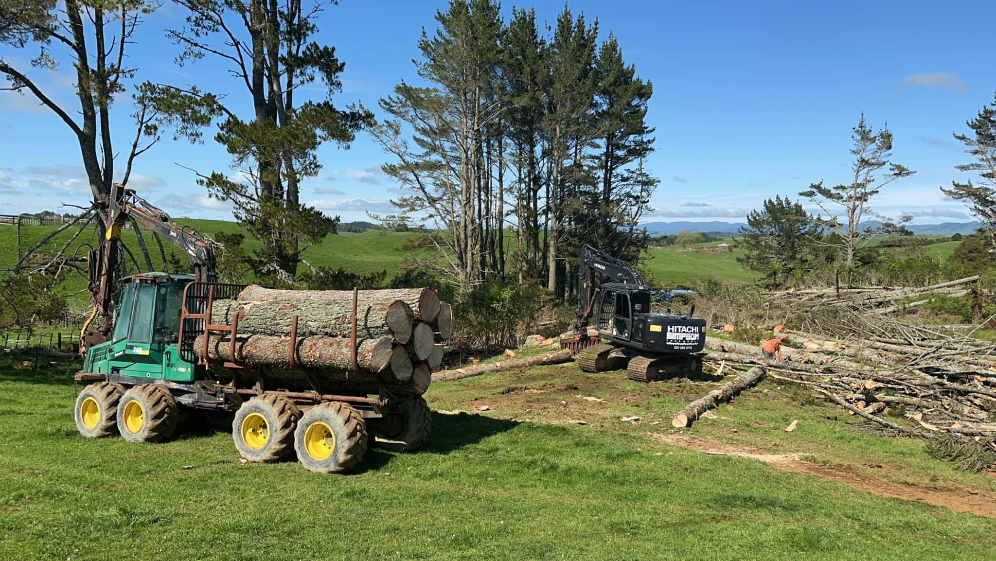 Simpson Tree Works | Piopio
