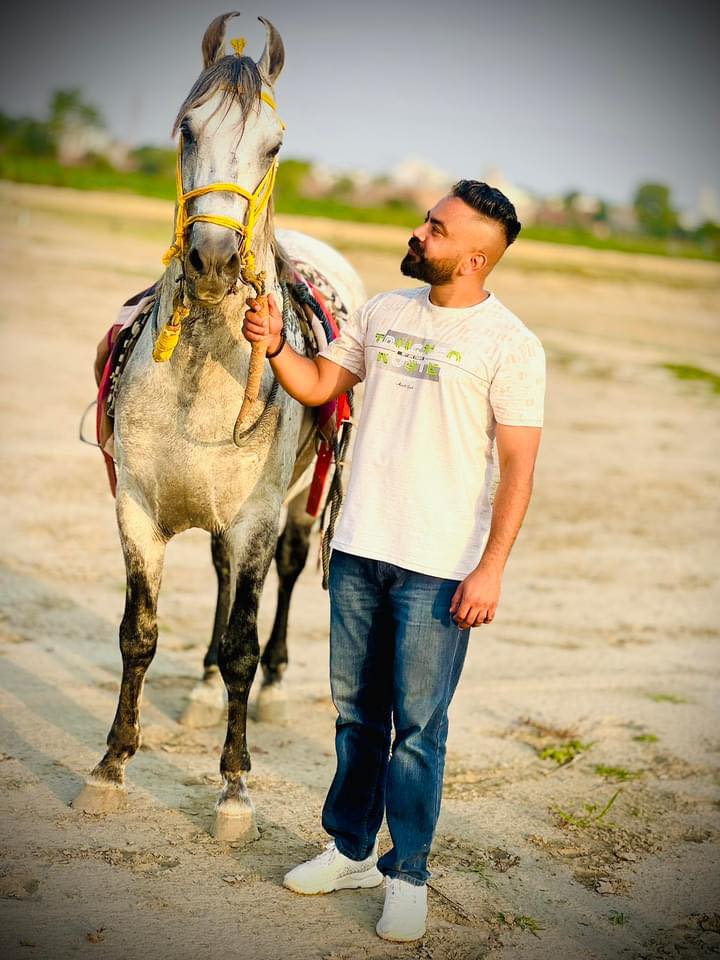 Human’s best friend