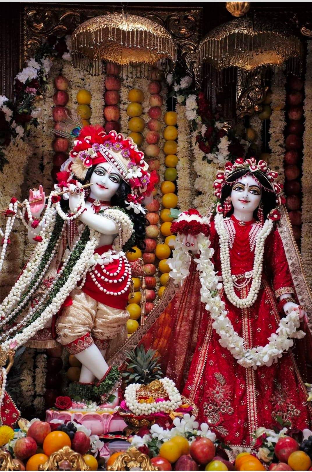 Shri Mahamal Maharaj Gaushala Toynda - जय श्री हरि। अधर्म करनेवाले सब ...