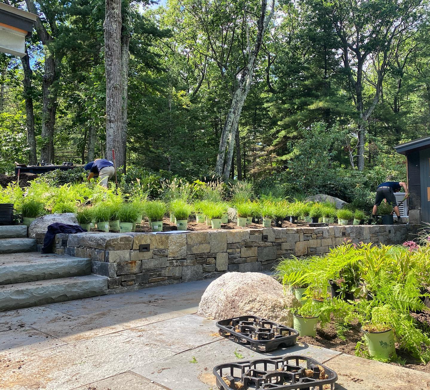 Day 1 of plantings at our... - Lynch Landscape & Tree Service | Facebook