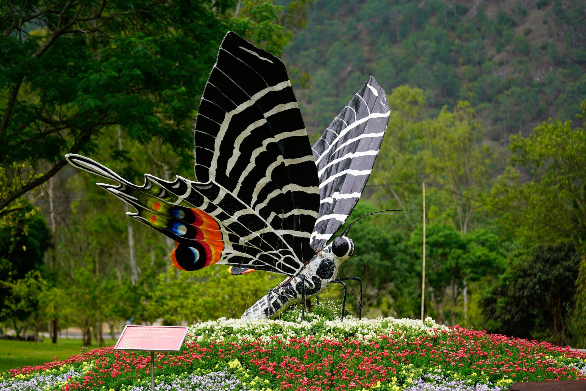 Bhutan's national butterfly at the Royal Bhutan Flower Exhibition