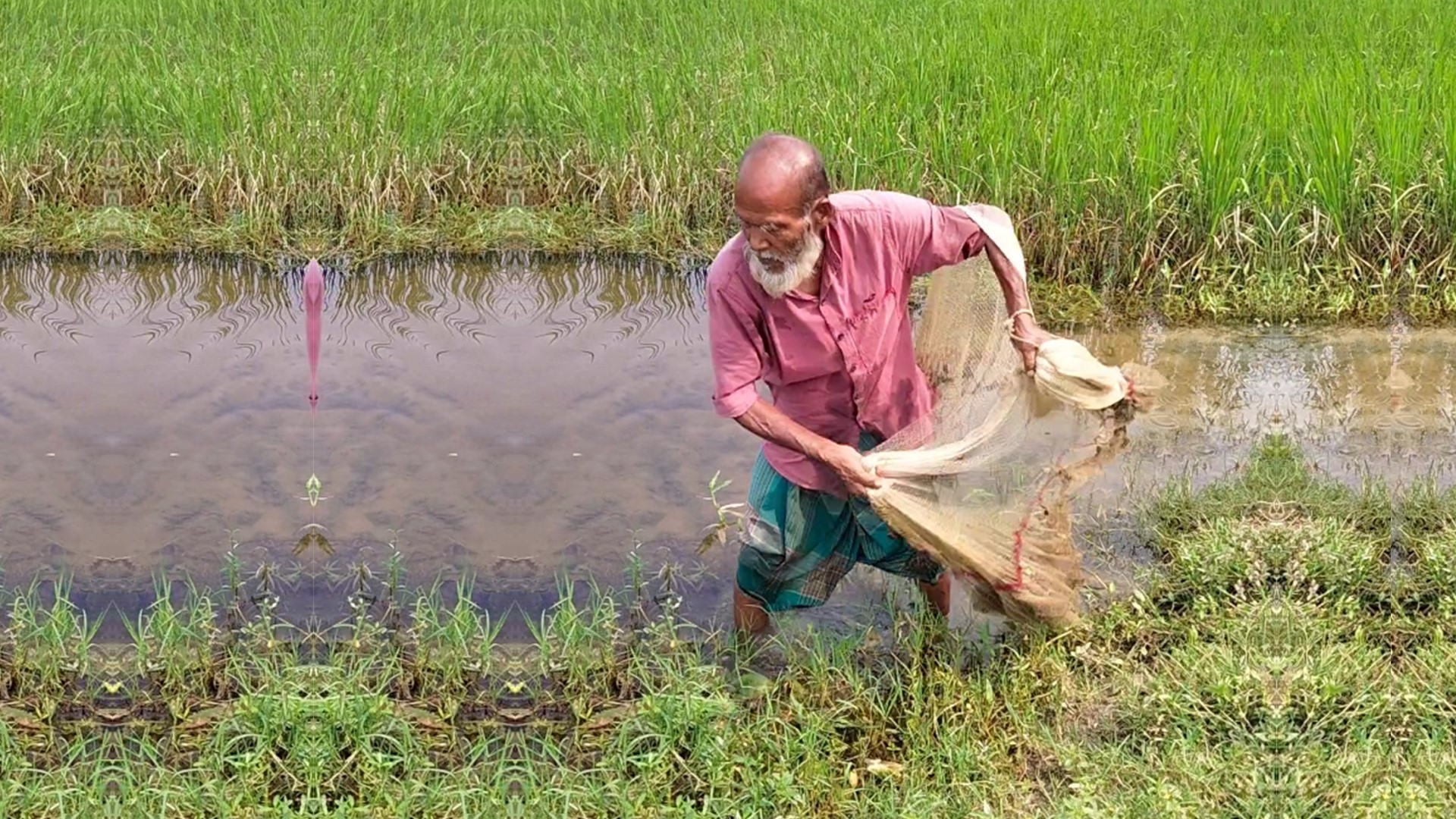 বন্যায় বাড়ির দুয়ারের সামনে হাত দিয়ে শিং মাছ ধরলো। Amazing fishing # ...
