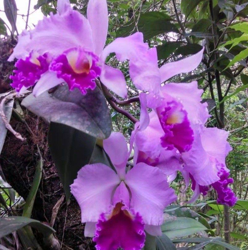 MAHAL KA NAMON ANDING🥰😘😘 Liyah YobMa Geraldino #follower #fypageシ ...