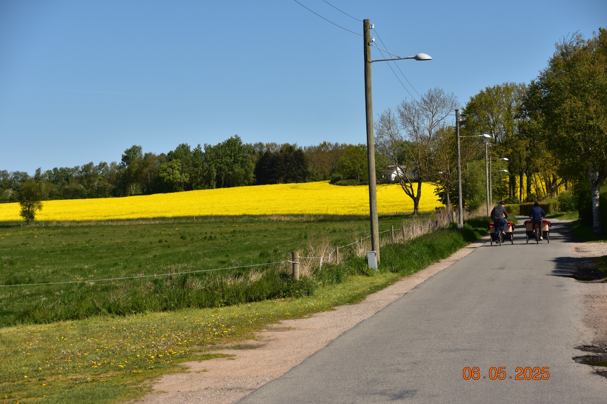 Søborg Sø - Fugle og Natur | Facebook