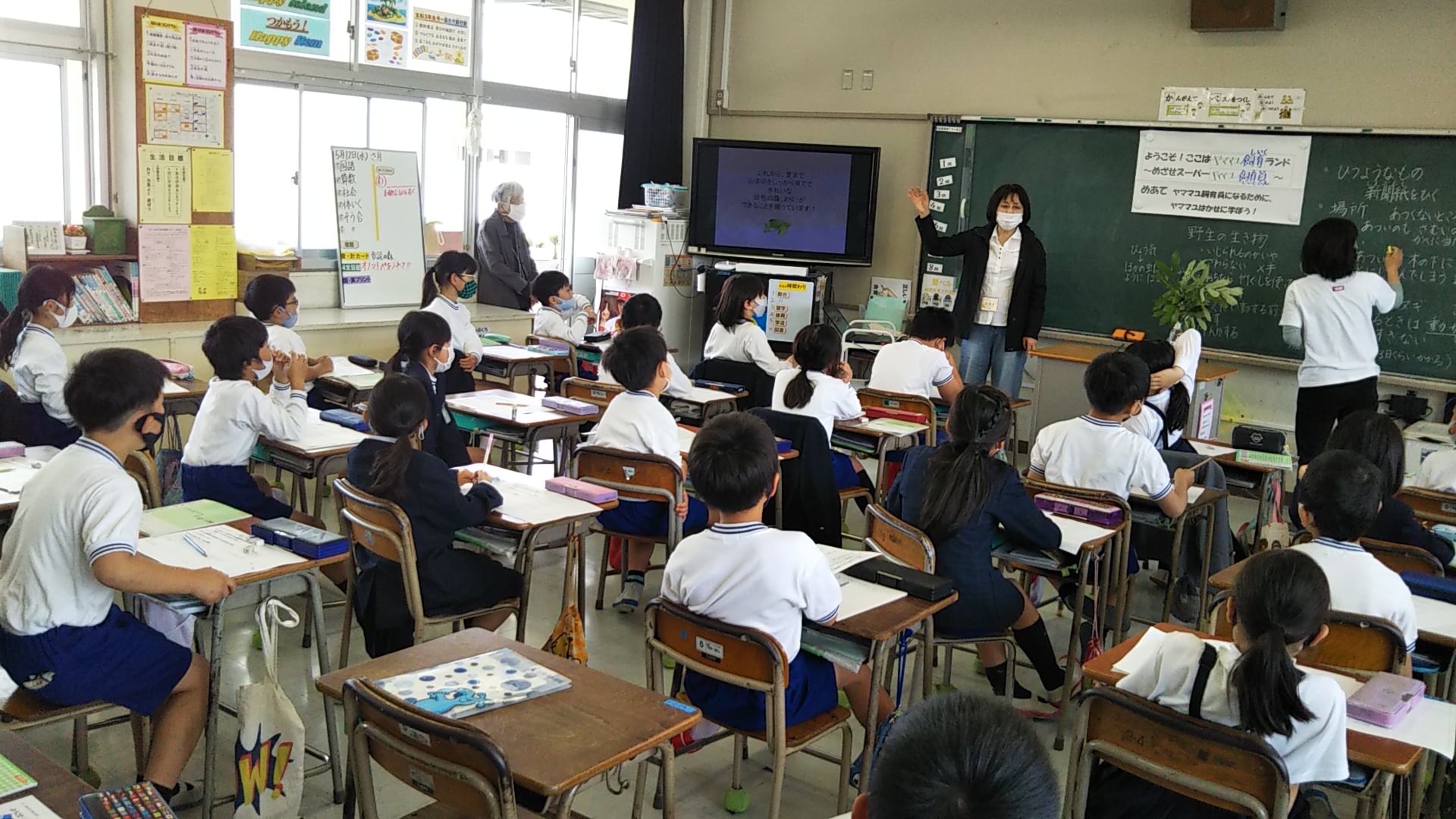 活動歴および当時の関連ビジュアル記録