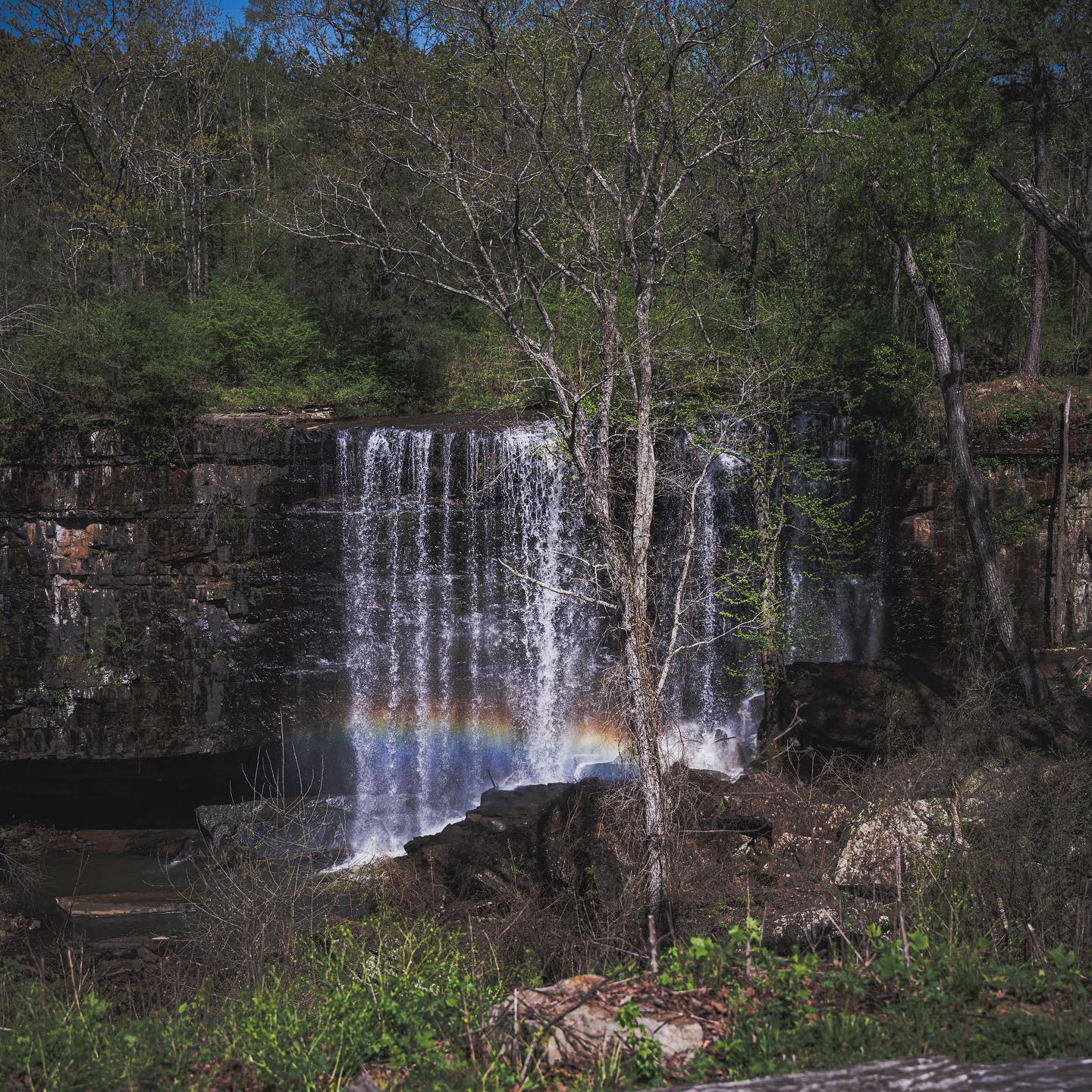 Happy Earth Day! 🌎 It’s hard... - Cherokee Ridge Country Club