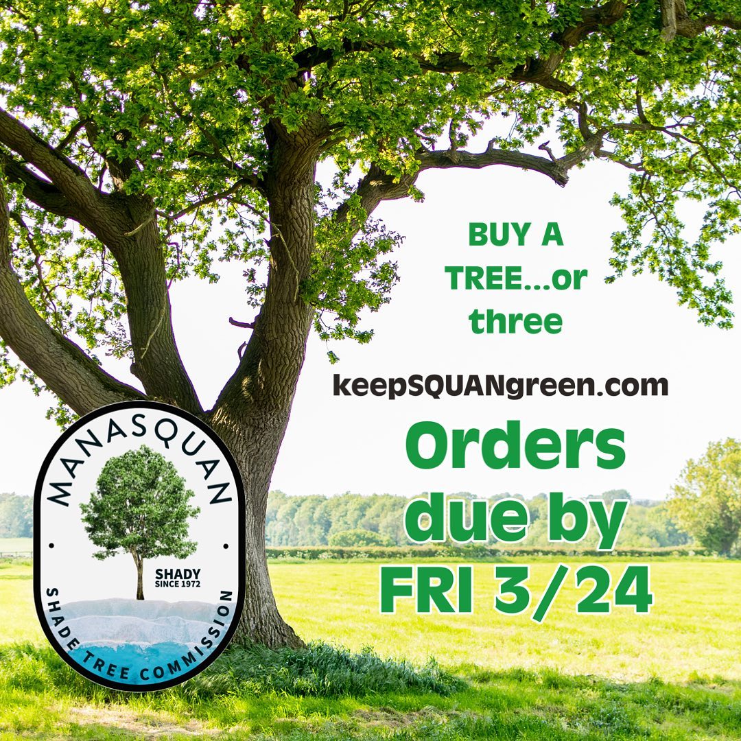 Manasquan Shade Tree Commission - Shade, Flowering and Evergreen trees ...