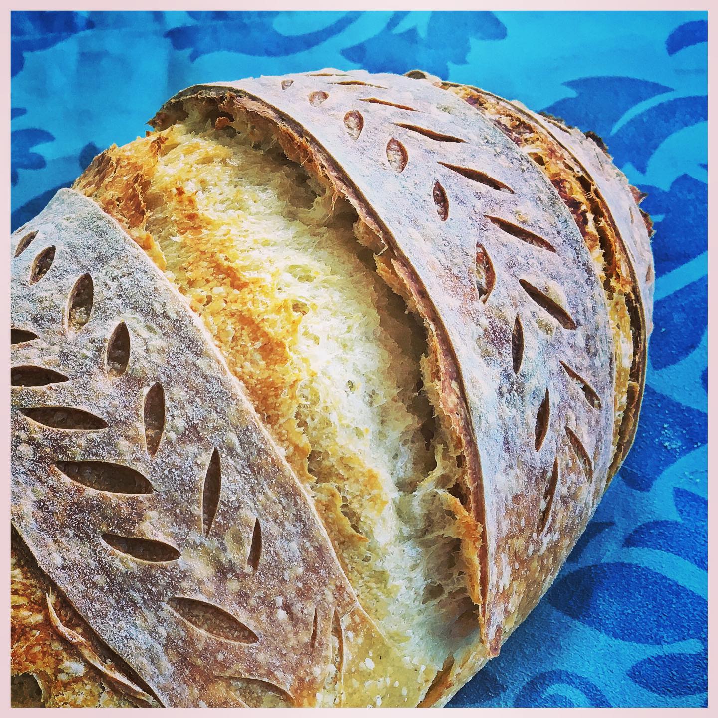 Cook - Sourdough September day 2, a lumpy bumpy Signature White ...