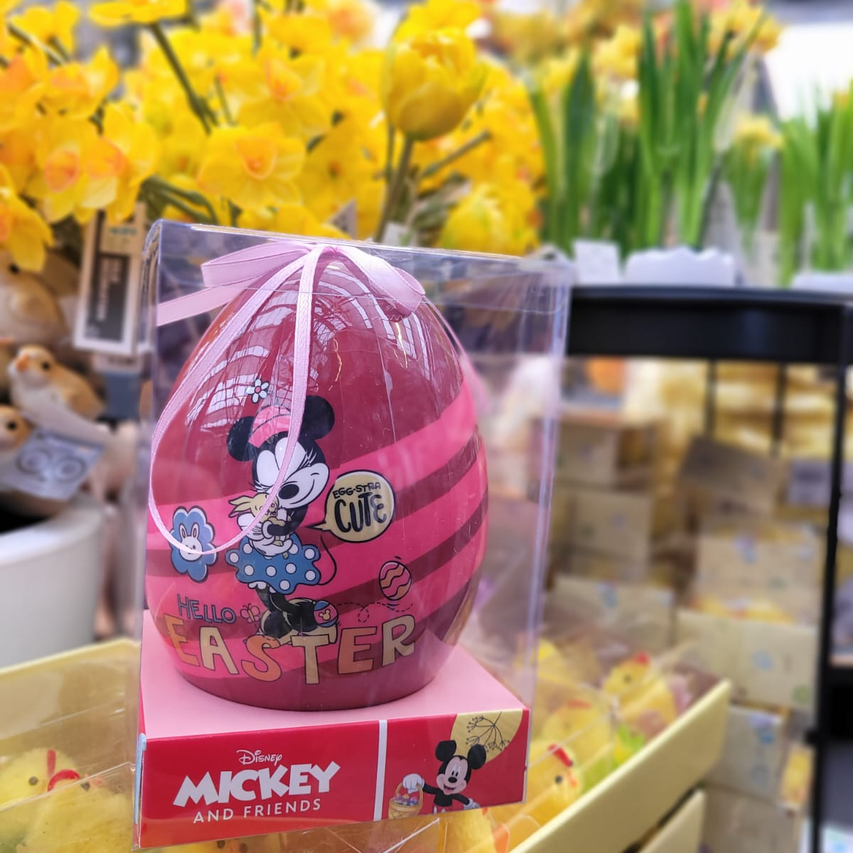 DISNEY PAASARTIKELEN | 𝗔𝗹𝘀 𝗷𝗲 𝗗𝗶𝘀𝗻𝗲𝘆... - Intratuin Pijnacker | Facebook