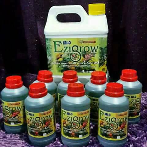 Apakah Itu Baja Baja Ezigrow Subur Pokok Buah Lebat Facebook