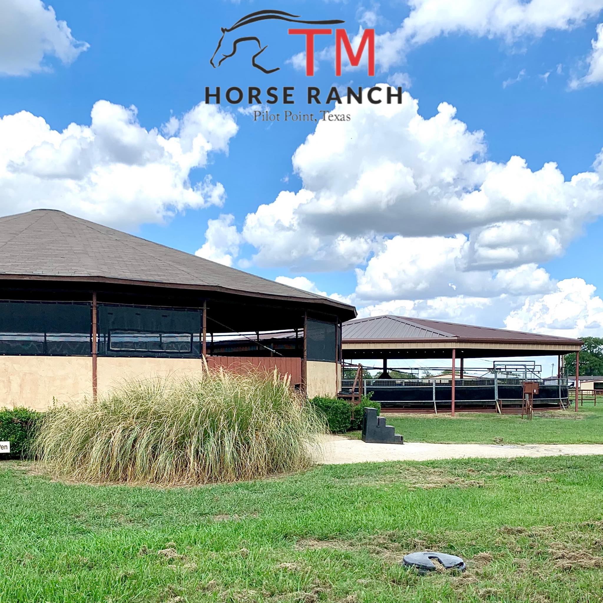 TM Horse Ranch - 🌟 Discover TM Horse Ranch's Outstanding...