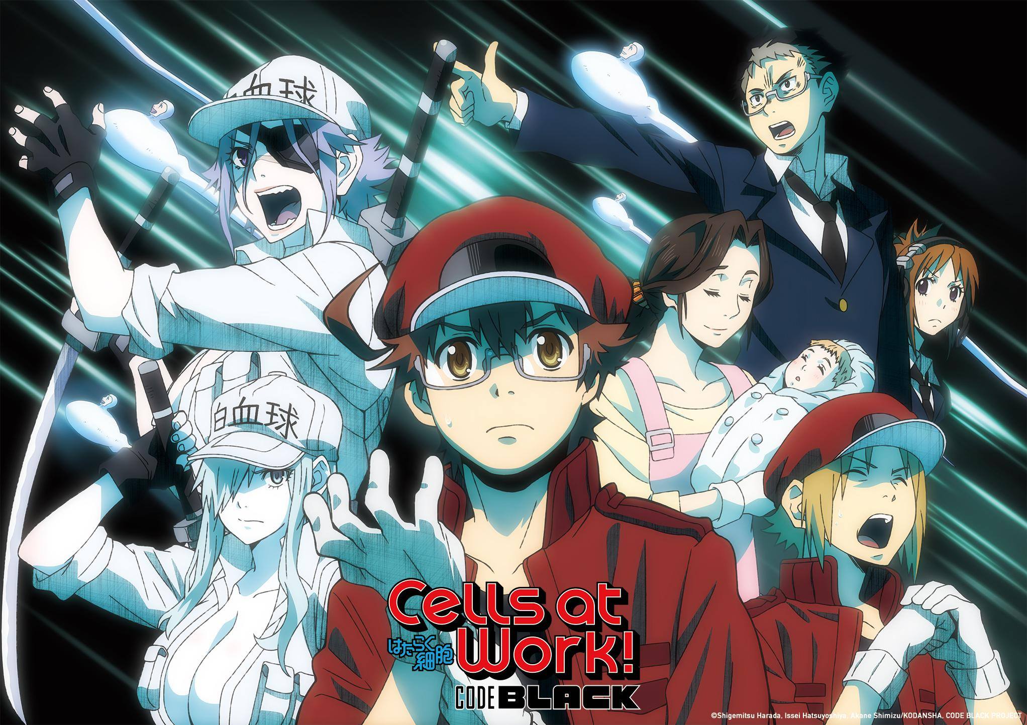 AniINFO - 𝗖𝗲𝗹𝗹𝘀 𝗮𝘁 𝗪𝗼𝗿𝗸! 𝗖𝗢𝗗𝗘 𝗕𝗟𝗔𝗖𝗞 ตอนพิเศษ ดูได้แล้วตอนนี้ ตอนที่ 3 ...