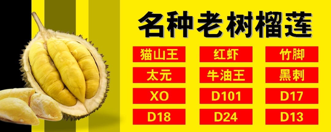 名種榴莲jb Durian Home Facebook