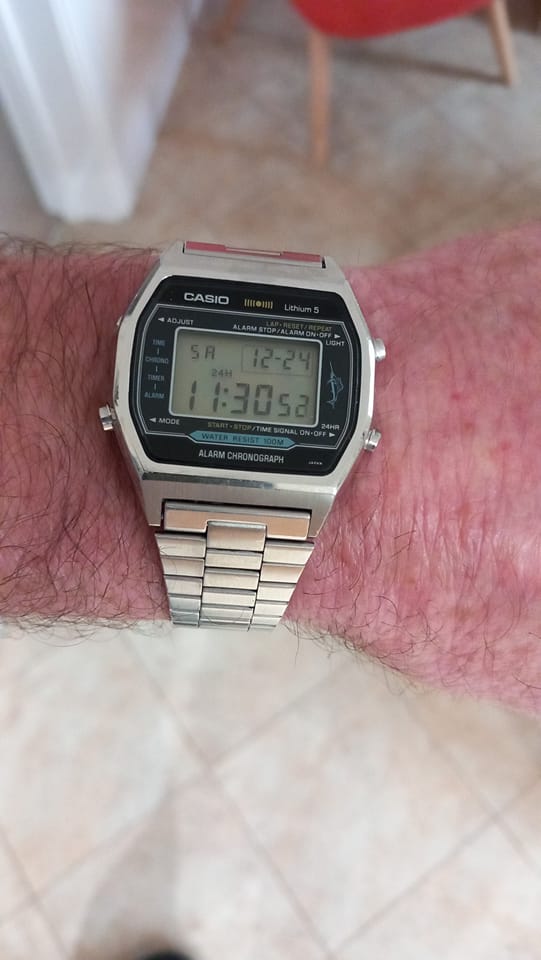 Casio LW-800 Woman Marlin 1982😎