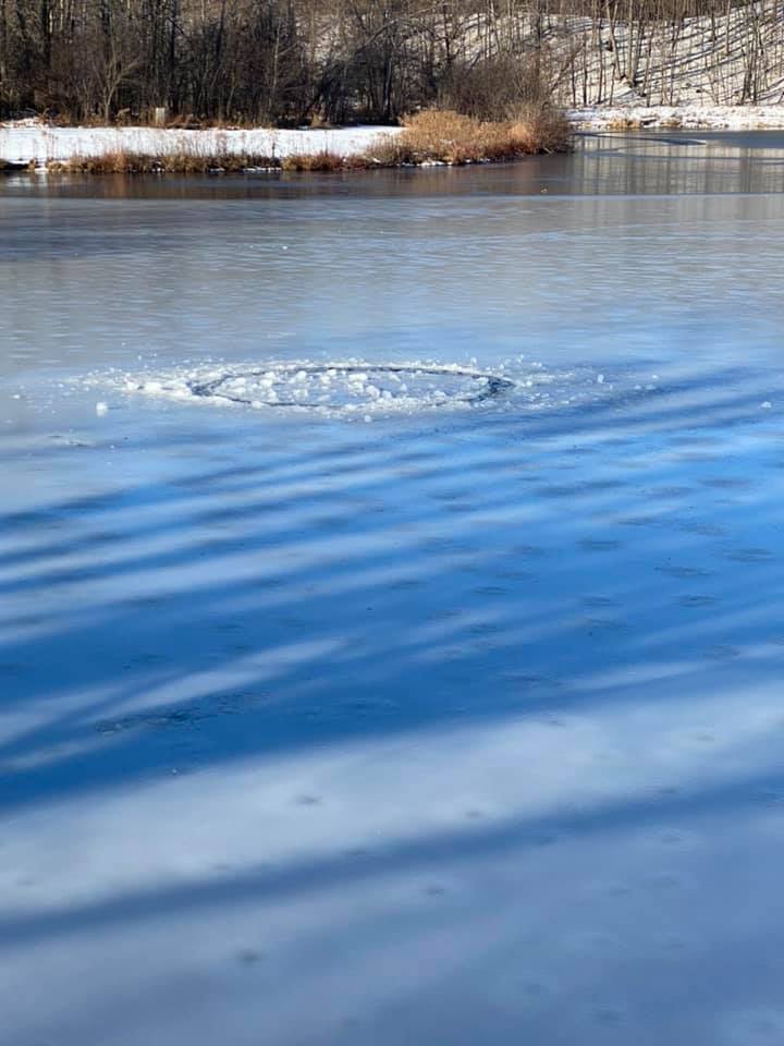 Little Spring Lake Park Association - Home
