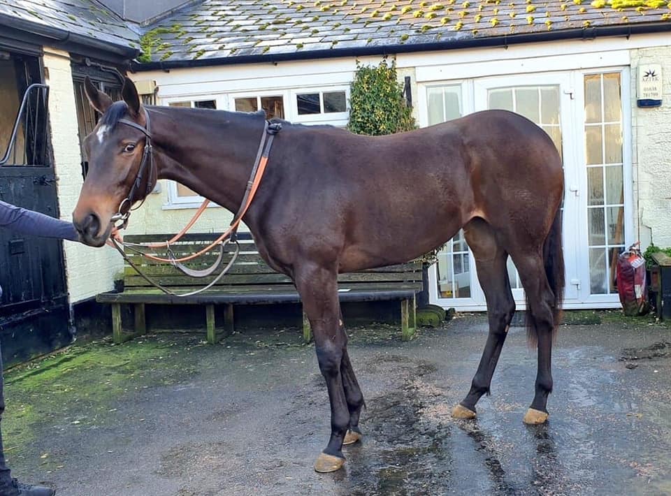 John Ryan Racing | Newmarket