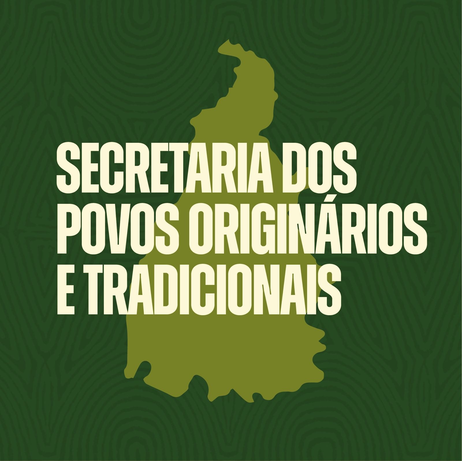 Diretoria de Proteção Indígena da Sepot recebe a visita técnica da ...