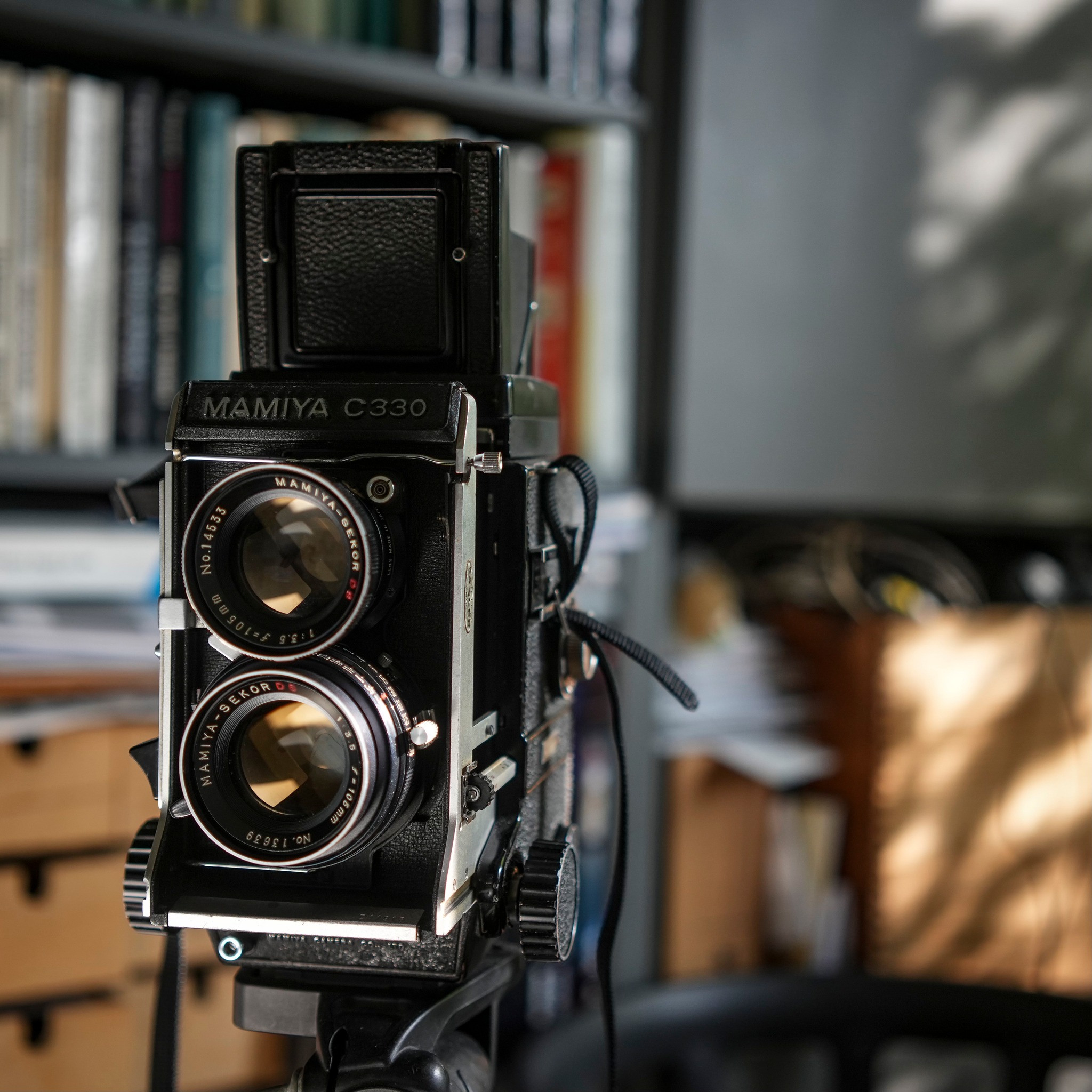 New lens -Mamiya Sekor 105 3,5 DS