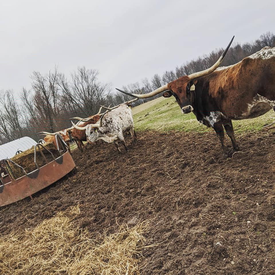 Triple-R-Ranch | Horton MI