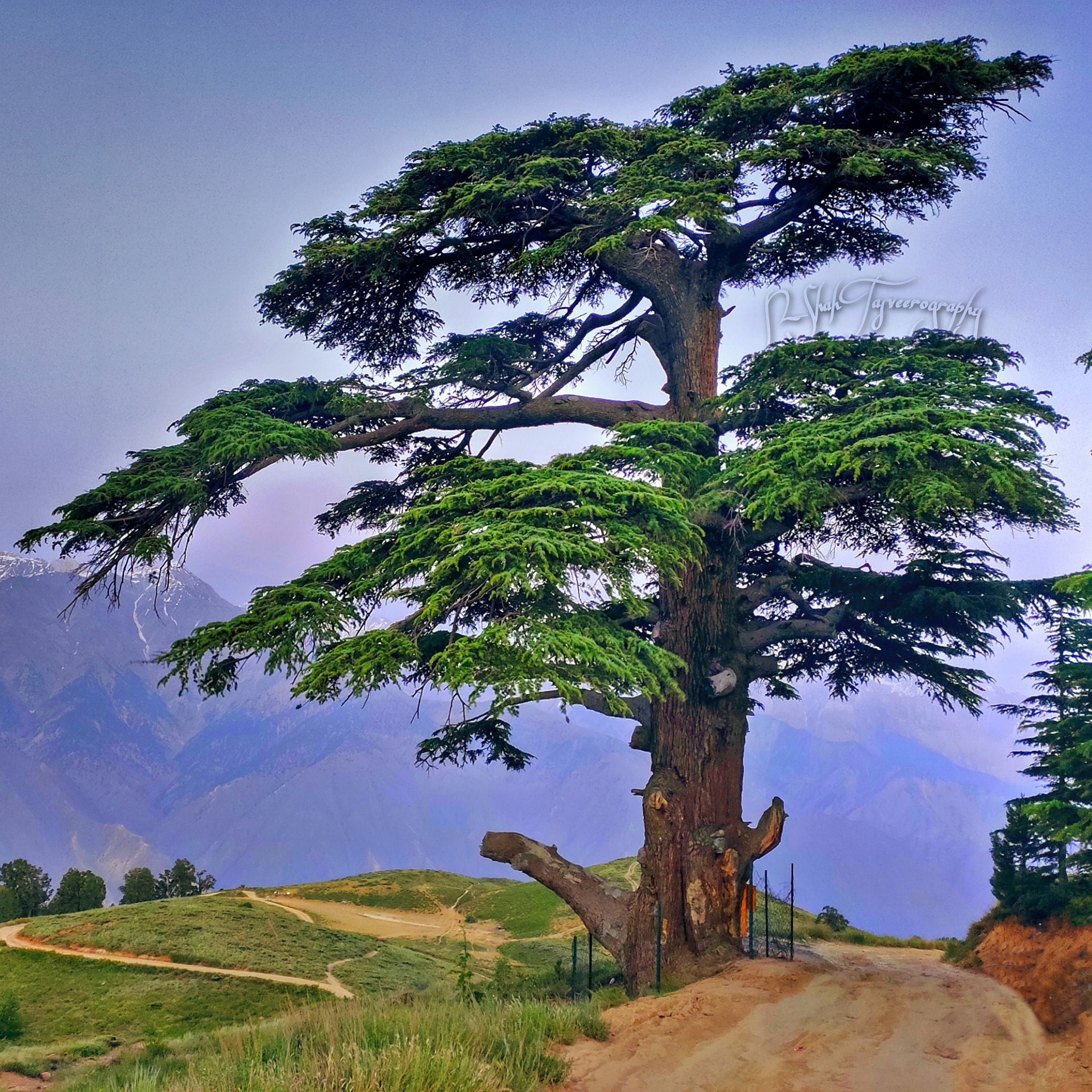 Chitral valley | Chitral News چترال نیوز | Facebook