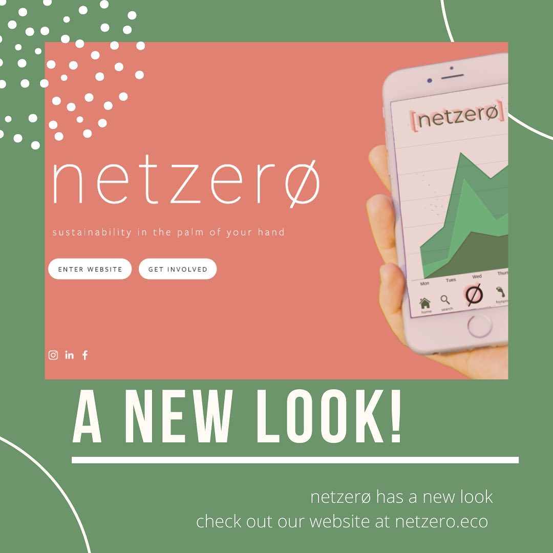 Netzero