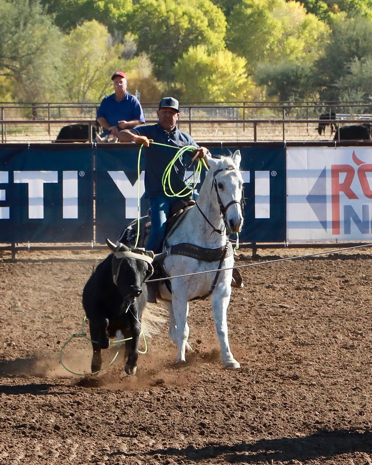 Diamond J Horses | Provo UT